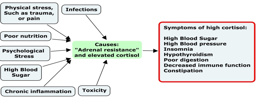 adrenal glands affect your health